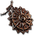 Solar Amulet